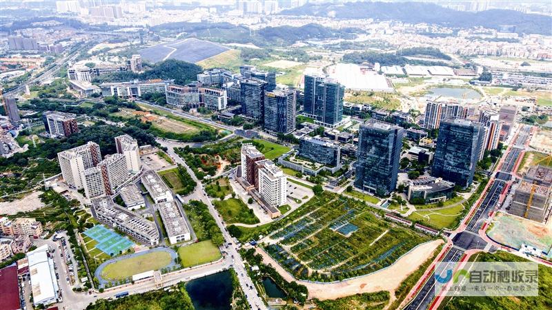 番禺专业网站建设公司：定制化解决方案，提升品牌形象，推动业务发展