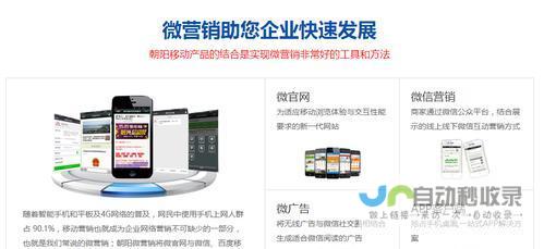 定制化企业网站程序开发服务
