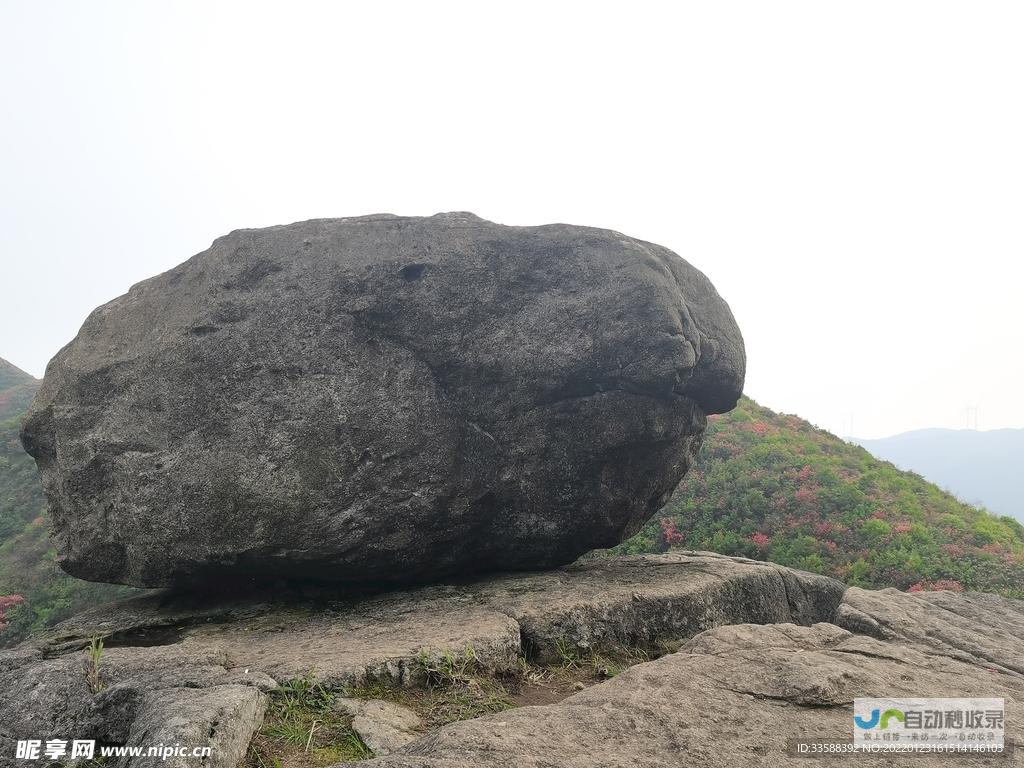 磐石网：洞悉行业动态，把握未来机遇